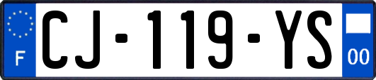 CJ-119-YS