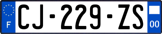 CJ-229-ZS