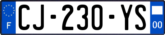 CJ-230-YS