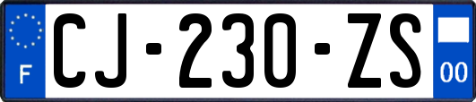 CJ-230-ZS