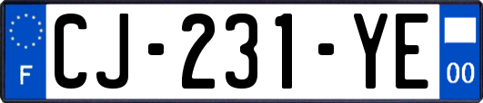 CJ-231-YE