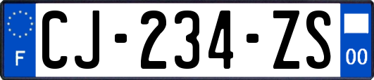 CJ-234-ZS