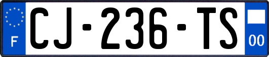 CJ-236-TS