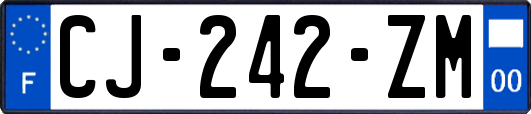 CJ-242-ZM