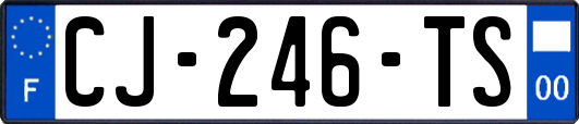 CJ-246-TS