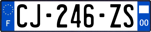 CJ-246-ZS