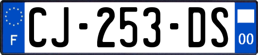 CJ-253-DS