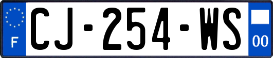 CJ-254-WS