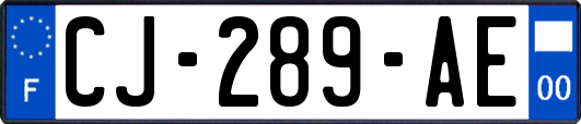 CJ-289-AE