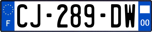 CJ-289-DW