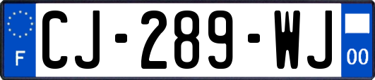 CJ-289-WJ