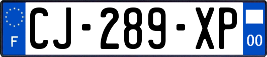 CJ-289-XP