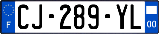 CJ-289-YL