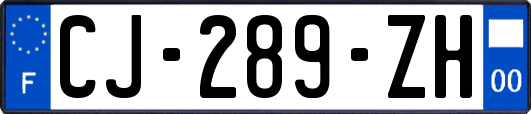 CJ-289-ZH