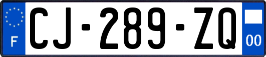 CJ-289-ZQ