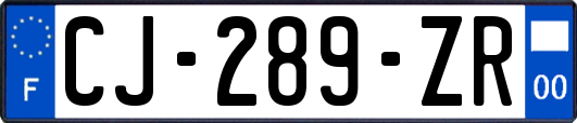 CJ-289-ZR