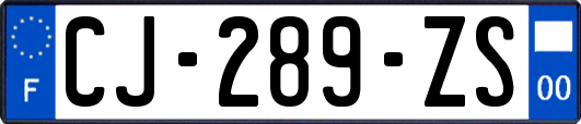 CJ-289-ZS