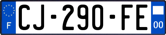 CJ-290-FE