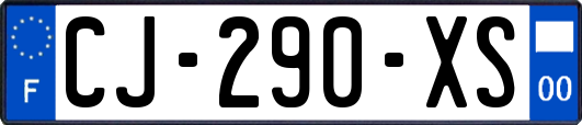 CJ-290-XS