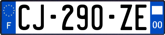 CJ-290-ZE