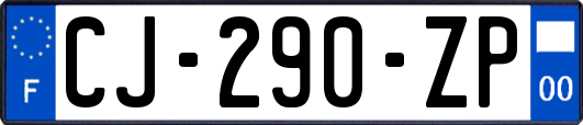 CJ-290-ZP