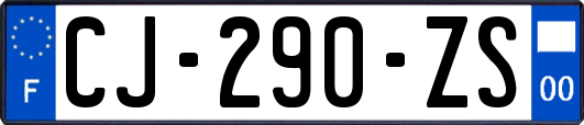 CJ-290-ZS