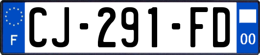 CJ-291-FD