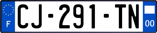 CJ-291-TN