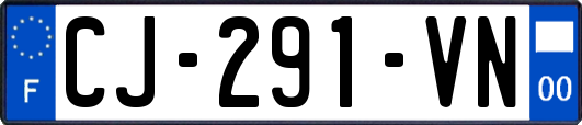 CJ-291-VN