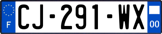 CJ-291-WX