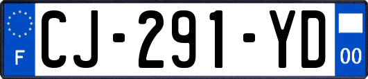 CJ-291-YD