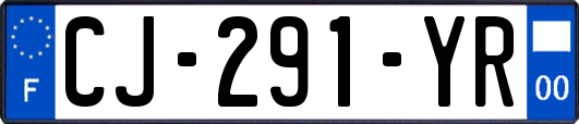 CJ-291-YR