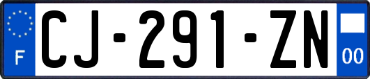 CJ-291-ZN