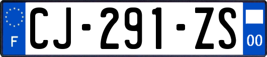 CJ-291-ZS