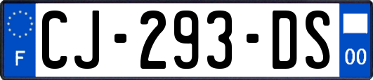 CJ-293-DS