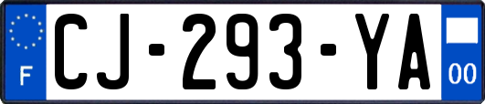 CJ-293-YA