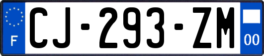 CJ-293-ZM