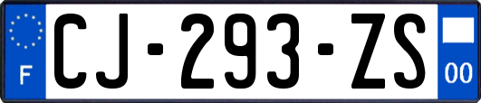 CJ-293-ZS