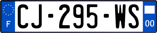 CJ-295-WS