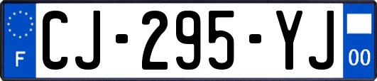 CJ-295-YJ