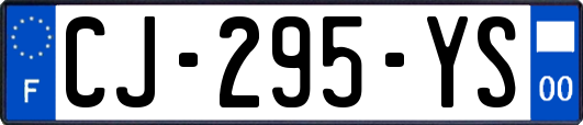 CJ-295-YS