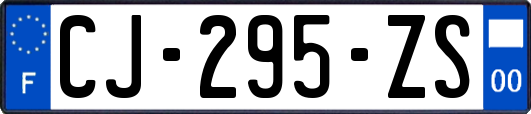 CJ-295-ZS