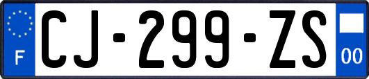 CJ-299-ZS