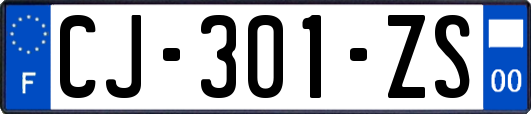 CJ-301-ZS