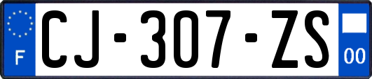 CJ-307-ZS