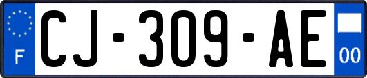 CJ-309-AE