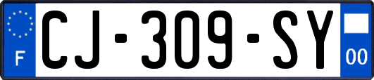 CJ-309-SY