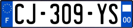 CJ-309-YS