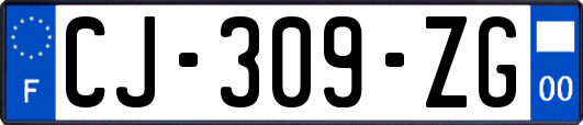 CJ-309-ZG