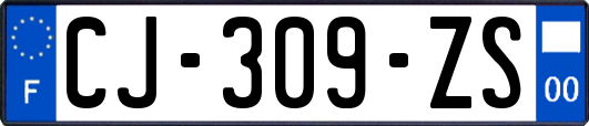 CJ-309-ZS